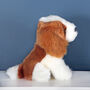 Mini King Charles Dog Soft Toy With Personalised Case, thumbnail 5 of 5