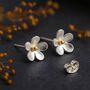 Sterling Silver Forget Me Not Flower Stud Earrings, thumbnail 1 of 11
