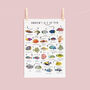 The A To Z Of Fish Print, thumbnail 2 of 6