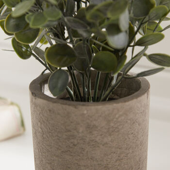 Faux Eucalyptus Plant In Stone Effect Pot, 3 of 5