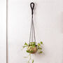 Golden Hanging Planters Set Of Two, thumbnail 4 of 10