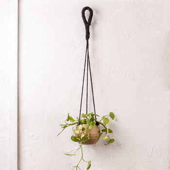 Golden Hanging Planters Set Of Two, 4 of 10