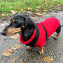 Red Miniature Dachshund Knitted Jumper, thumbnail 2 of 7