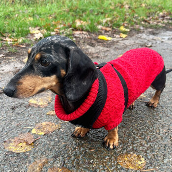 Red Miniature Dachshund Knitted Jumper, 2 of 7
