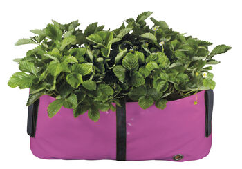The Green Block Reusuable Grow Bag And Planter, 11 of 11