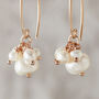 Pearl Cluster Earrings In Rose Gold Fill, thumbnail 2 of 3