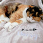 Personalised Sherpa Style Cat And Dog Blanket, thumbnail 2 of 8