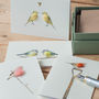 Boxed Collection Of Small Bird Gift Cards, thumbnail 4 of 4