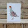 A Pack Of Four Mixed Bird Cards, thumbnail 3 of 5