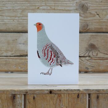 A Pack Of Four Mixed Bird Cards, 3 of 5