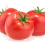 Tomato Plants 'Alicante' Six Plug Plant Pack, thumbnail 6 of 6