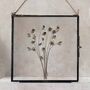 Antique Pressed Flower Frame: Natural Daisy Large, thumbnail 3 of 7