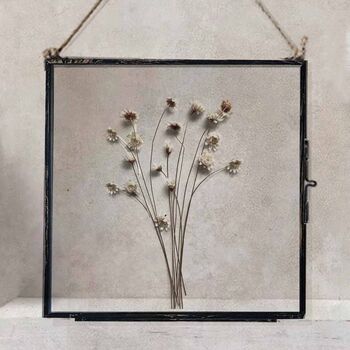 Antique Pressed Flower Frame: Natural Daisy Large, 3 of 7