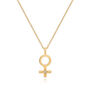 Female Symbol Moonstone Necklace, thumbnail 8 of 8