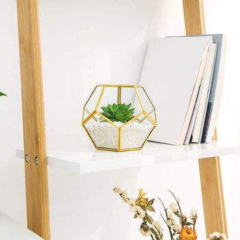 Pack Of Three Mini Glass Geometric Terrarium Air Plants, 4 of 4