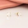 Mini 9ct Yellow Gold Opal Stud Earrings, thumbnail 2 of 7