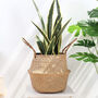 Woven Seagrass Belly Basket For Storage Plant Pot, thumbnail 1 of 8