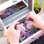 Watercolour Botanical Wooden Jewellery Box With Mirror, thumbnail 2 of 3