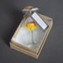 Tiny Paper Daffodil In A Bottle With Personalised Tag, thumbnail 1 of 7