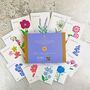 Mum’s Flower Garden Seed Kit – Personalised Flower Gift For Mother’s Day And Birthdays, thumbnail 4 of 8