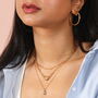 Fish Chain Necklace, thumbnail 3 of 7