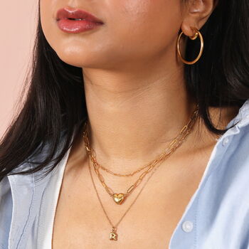 Fish Chain Necklace, 3 of 7
