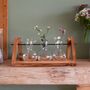 Set Of Three Propagation Vases, thumbnail 2 of 9