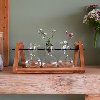 Set Of Three Propagation Vases, 2 of 9
