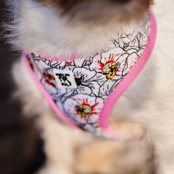 Flower And Bee Design Dog Harness, 5 of 11