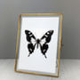 Black And White Butterfly Print, thumbnail 2 of 7