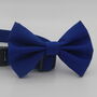 Bright Blue Dog Bow Tie, thumbnail 5 of 7