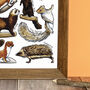 Medium Mammals Of Britain Wildlife Print, thumbnail 6 of 7