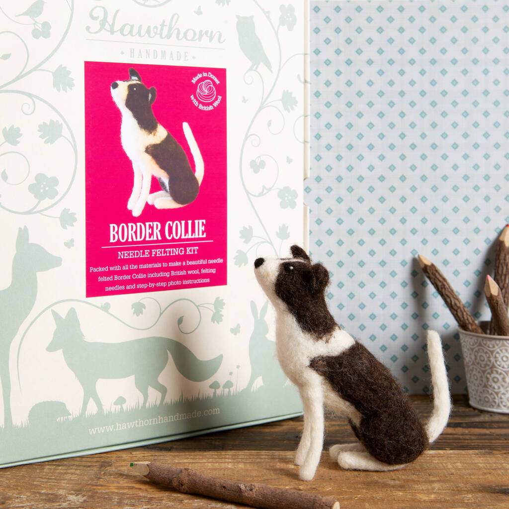 Border Collie Needle Felting Craft Kit By Hawthorn Handmade