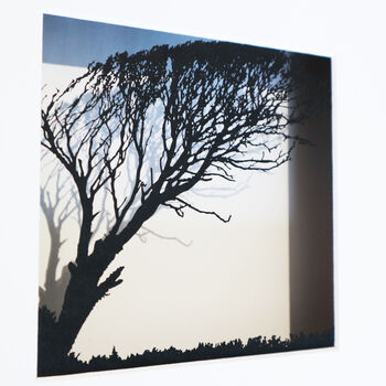 Framed Papercut Windswept Tree Art, 4 of 8
