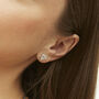 Diamond Shape Stud Earring Sterling Silver, thumbnail 1 of 8