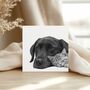 Best Friends – Labrador And Cat Cuddles Hand Drawn Greeting Card, thumbnail 1 of 6