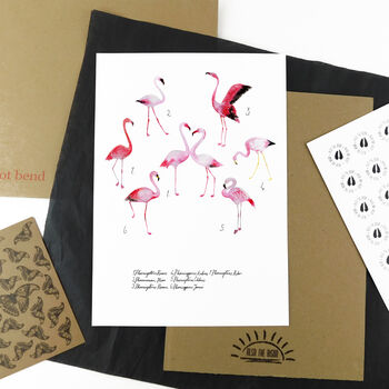 Flamboyance Of Flamingos Art Print, 5 of 7
