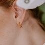 Diba Hoop Earrings, thumbnail 4 of 7