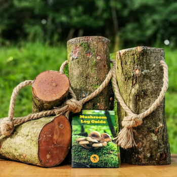 Ready To Grow Gourmet Mushroom Log Small, 2 of 12