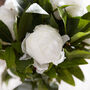 White Peonies In Globe Vase, thumbnail 3 of 4