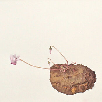 Botanical Watercolour With Cyclamen Illustration, 2 of 3