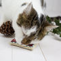 Eco Christmas Catnip Hamper For Cats, thumbnail 9 of 12