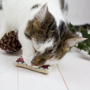 Eco Christmas Catnip Hamper For Cats, 9 of 12