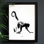 Encyclopaedic Inspired Fine Art Print, Monkey, thumbnail 1 of 11