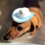 Personalised Pet Cowboy Hat, thumbnail 1 of 8