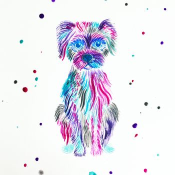 rainbow pet portrait by izzie may | notonthehighstreet.com