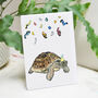 Belated Birthday Tortoise Card, thumbnail 2 of 10