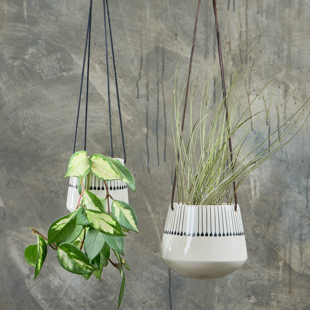 Ceramic Hanging Planter By all things Brighton beautiful