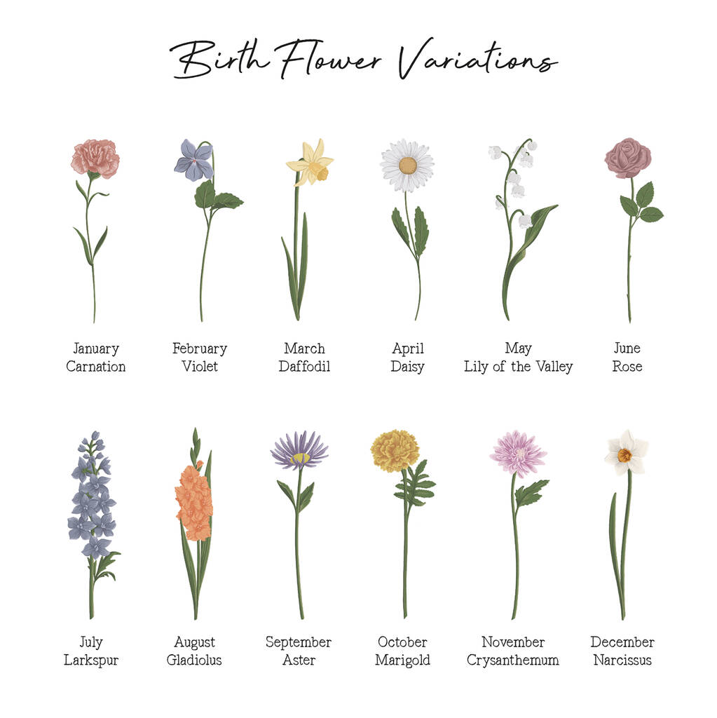 december birth flowers