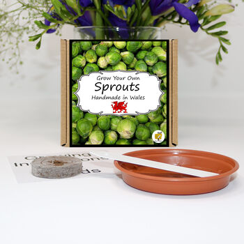 Gardening Gift. Sprouts Veg Growing Kit, 2 of 4